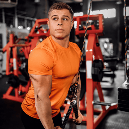 Fitness Cable System - Large set